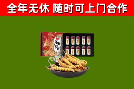 泰和县回收冬虫夏草价格